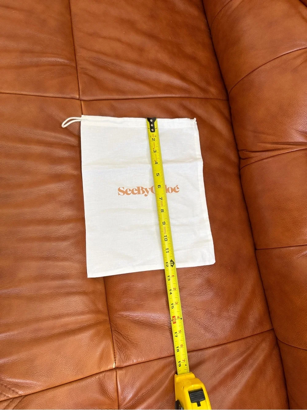 NWOT See By Chloe Dust Bag